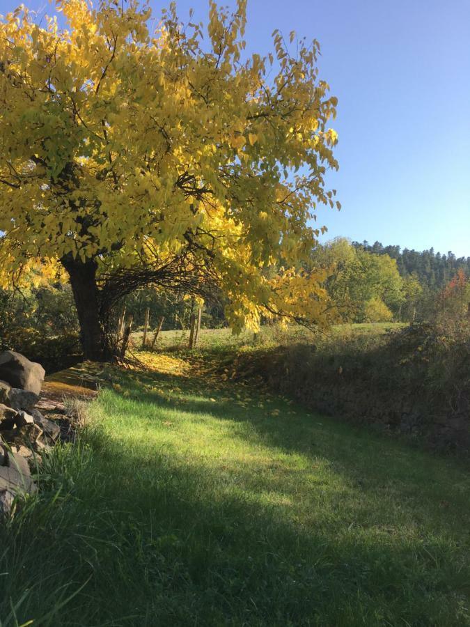 Le Chatel En Beaujolais Valsonne Ngoại thất bức ảnh